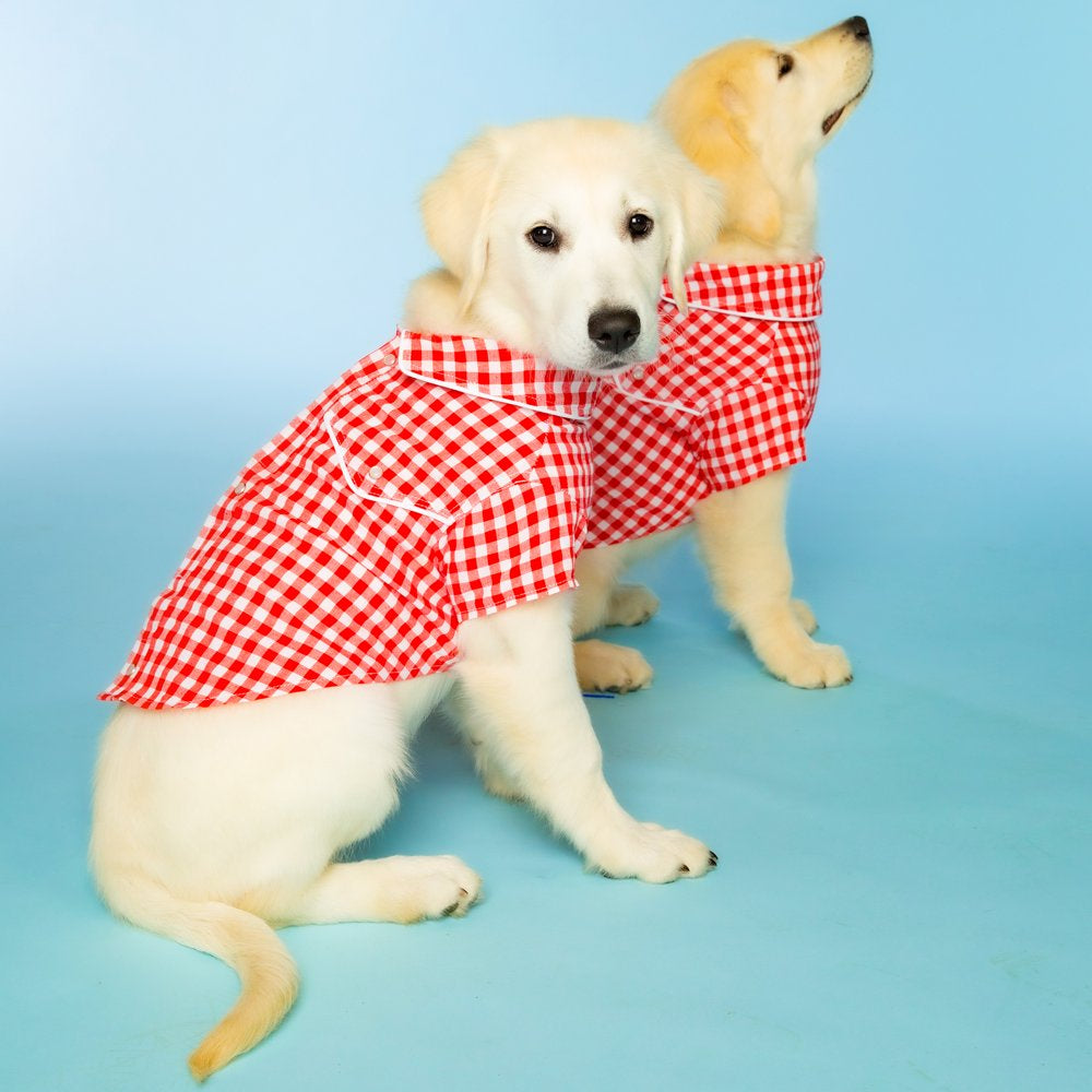 Doggy Parton, Dog Clothes, Gingham Western Dog or Cat Shirt, Red, XS Animals & Pet Supplies > Pet Supplies > Cat Supplies > Cat Apparel Mission Pets, Inc   