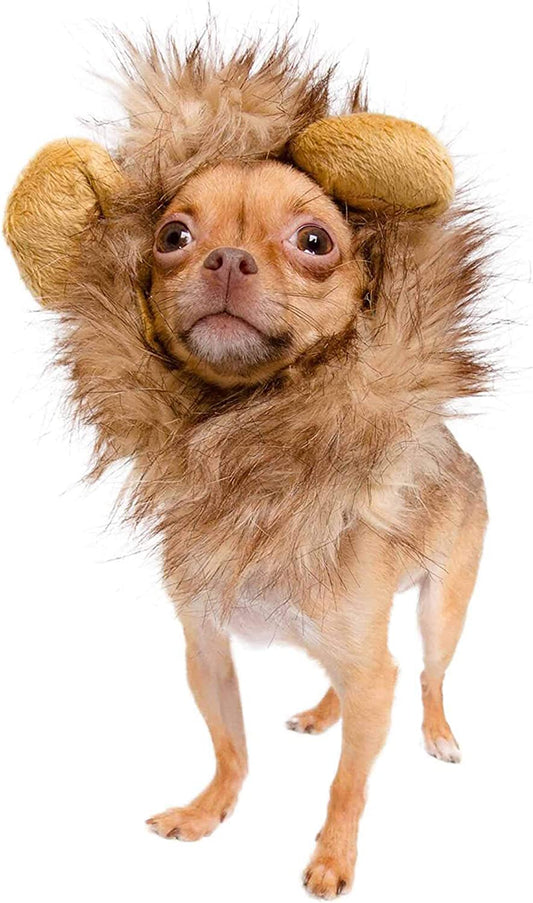Pet Krewe Dog Lion Mane Halloween Costume – Fits Neck Size 8”- 14”- Lion Mane for Small Dogs – Ideal for Halloween, Dog Birthday, Dog Cosplay, Dog Outfits, Pet Clothes Animals & Pet Supplies > Pet Supplies > Dog Supplies > Dog Apparel Pet Krewe Small  