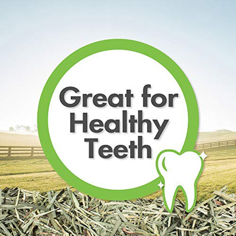 Vitakraft Orchard Grass Hay for Rabbits, Guinea Pigs, Chinchillas & Small Animals, 28 Oz Animals & Pet Supplies > Pet Supplies > Small Animal Supplies > Small Animal Food Vitakraft Sun Seed   