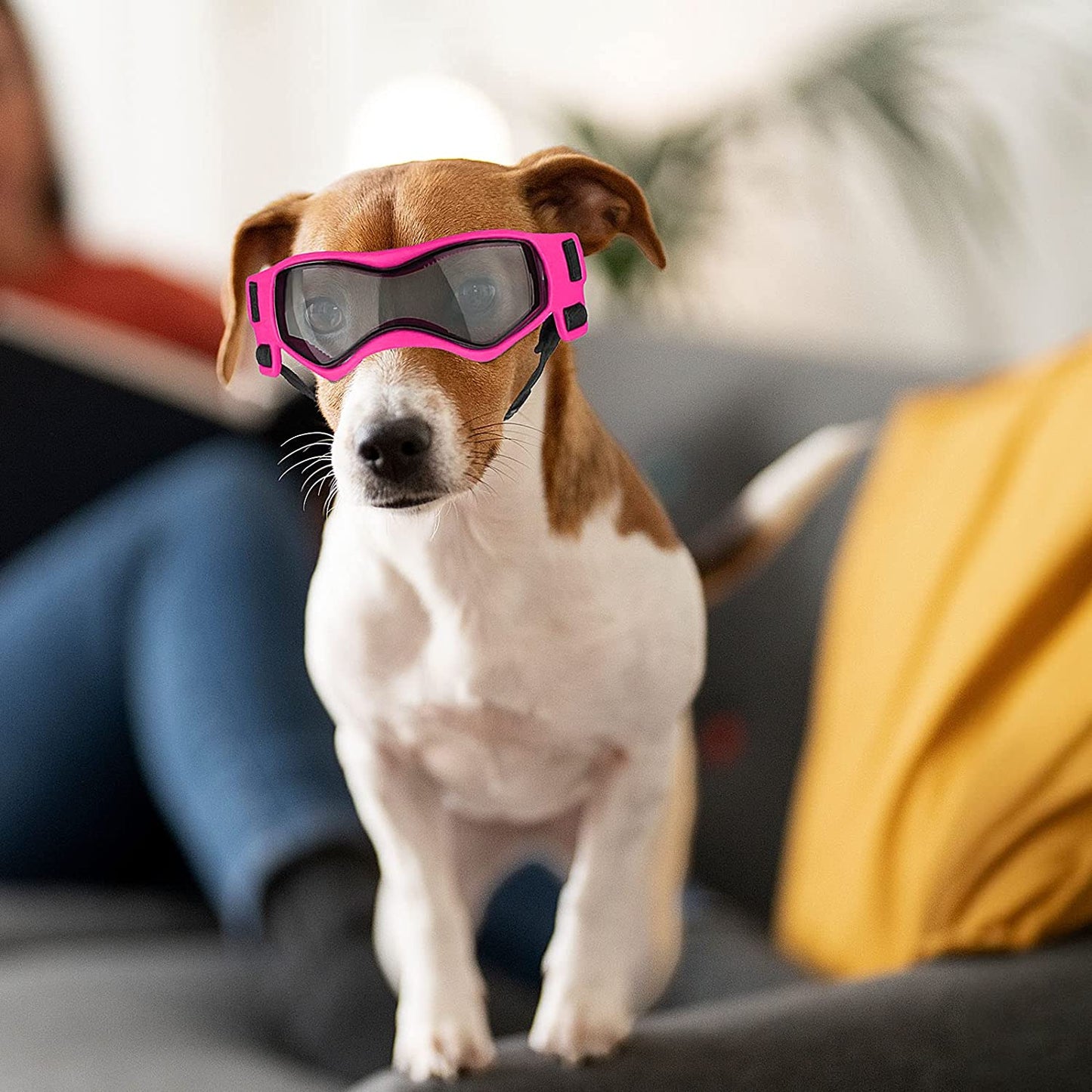 Enjoying Small Dog Goggles UV Protection Doggy Sunglasses Windproof Antifog Pet Glasses for Small Dogs Cats Eye Wear, Soft Frame, Cool Pink Animals & Pet Supplies > Pet Supplies > Dog Supplies > Dog Apparel Enjoying   