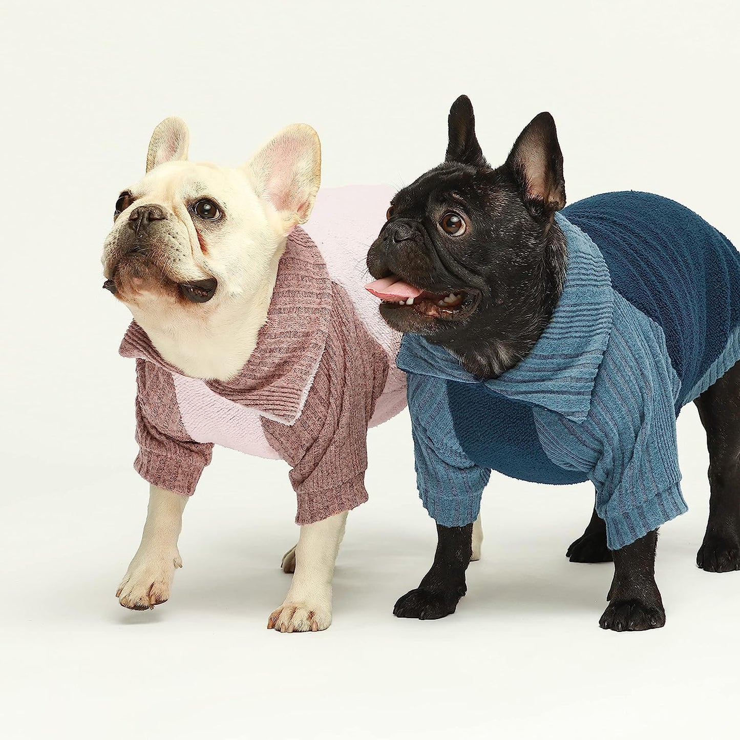 Fitwarm Fleece Dog Sweater, Turtleneck Dog Coat, Dog Winter Clothes for Small Dogs Boy, Pet Pullover Jumper, Cat Apparel, Blue, Medium Animals & Pet Supplies > Pet Supplies > Dog Supplies > Dog Apparel Fitwarm   