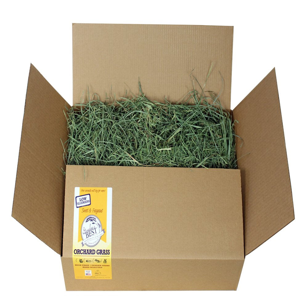 Grandpa'S Best Orchard Grass 10Lb Loose Boxed Hay for Small Animals Animals & Pet Supplies > Pet Supplies > Small Animal Supplies > Small Animal Food Grandpa's Best   