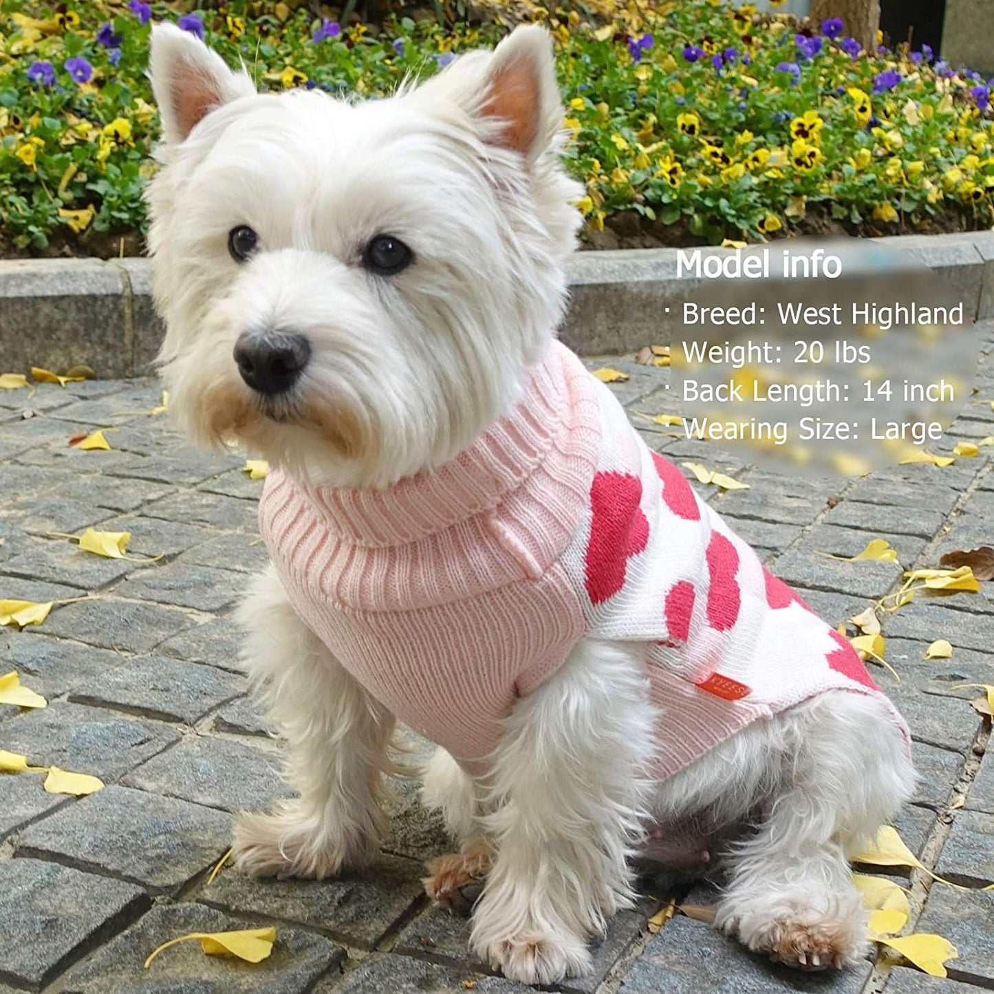 KYEESE Dogs Sweaters Valentines Day Small Dog Sweaters Red Heartwith Leash Hole Pet Sweater Pet Clothes,M Animals & Pet Supplies > Pet Supplies > Dog Supplies > Dog Apparel kyeese   