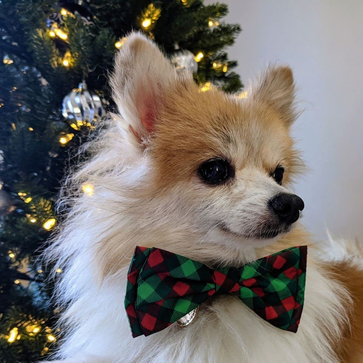 H&K Bow Tie for Pets | Scottish Check (Large) | Christmas Holiday Velcro Bow Tie Collar Attachment | Fun Bow Ties for Dogs & Cats | Cute, Comfortable, and Durable | Huxley & Kent Bow Tie Animals & Pet Supplies > Pet Supplies > Dog Supplies > Dog Apparel Huxley & Kent   