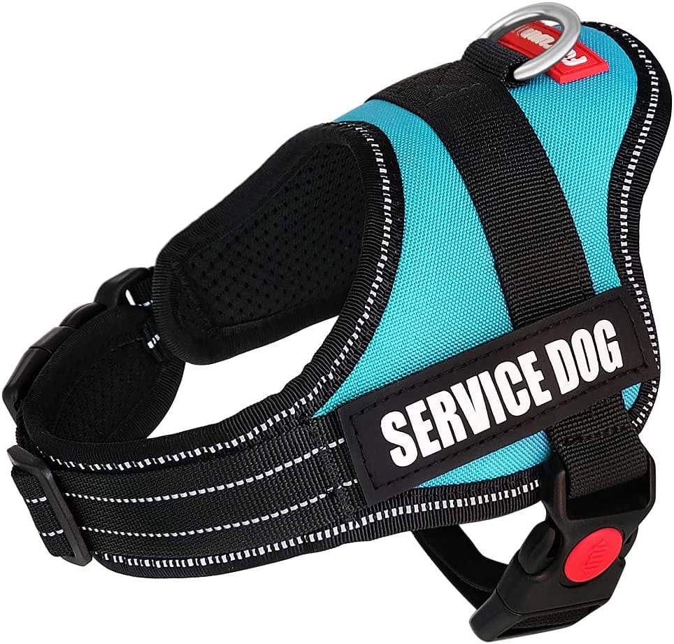 Fairwin Service Dog Vest-No-Pull Dog Harness with Handle Adjustable Reflective Patches in Training Vest Harness for Small Medium Large Breed Outdoor Walking Animals & Pet Supplies > Pet Supplies > Dog Supplies > Dog Apparel Faylife Blue XS: chest 18"-21";neck 11"-14" 