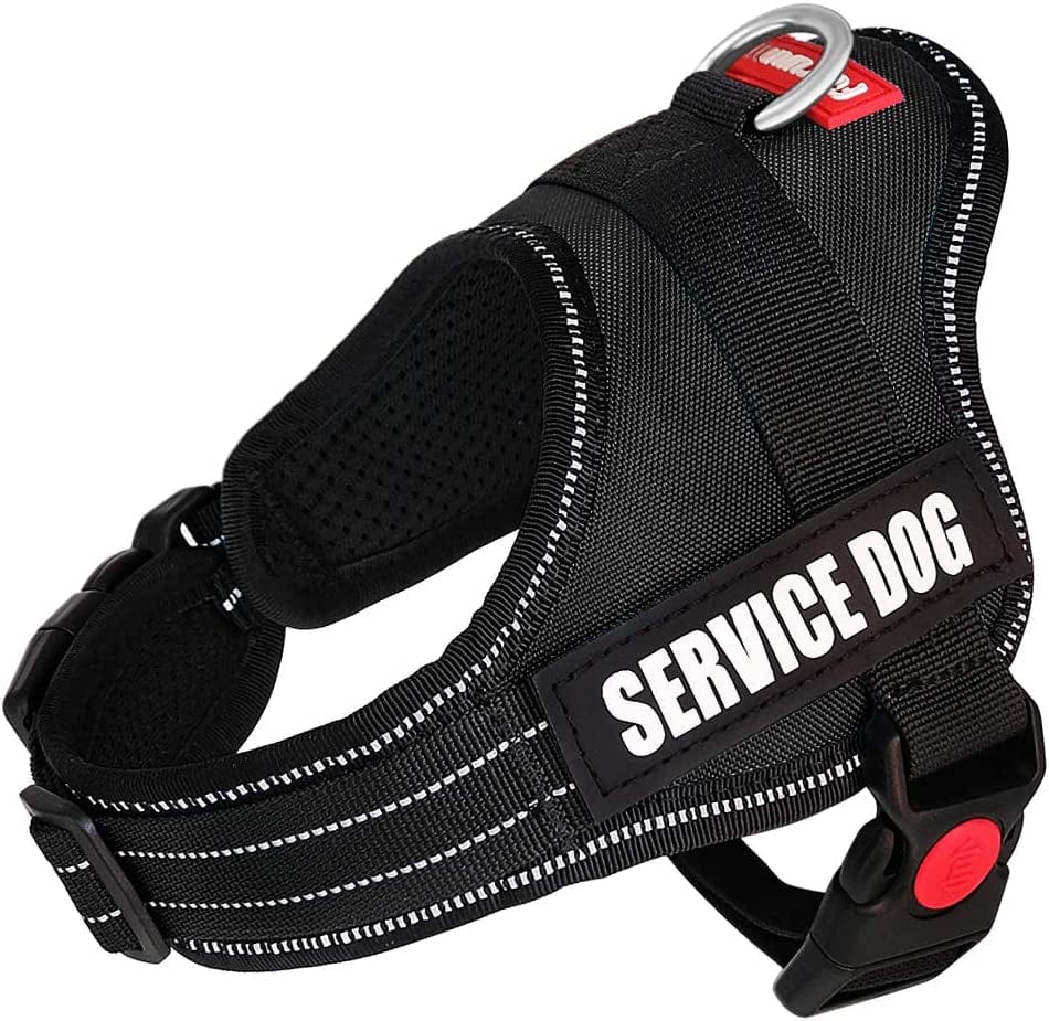 Fairwin Service Dog Vest-No-Pull Dog Harness with Handle Adjustable Reflective Patches in Training Vest Harness for Small Medium Large Breed Outdoor Walking Animals & Pet Supplies > Pet Supplies > Dog Supplies > Dog Apparel Faylife Black XS: chest 18"-21";neck 11"-14" 