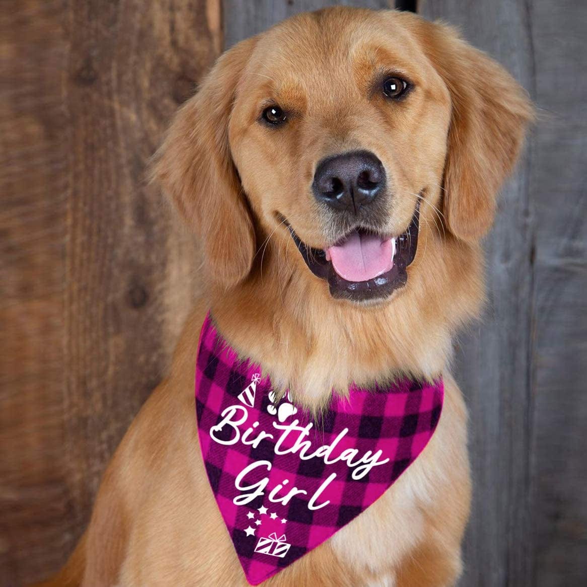 Family Kitchen Classic Pink Plaid Pet Puppy Dog Bandana