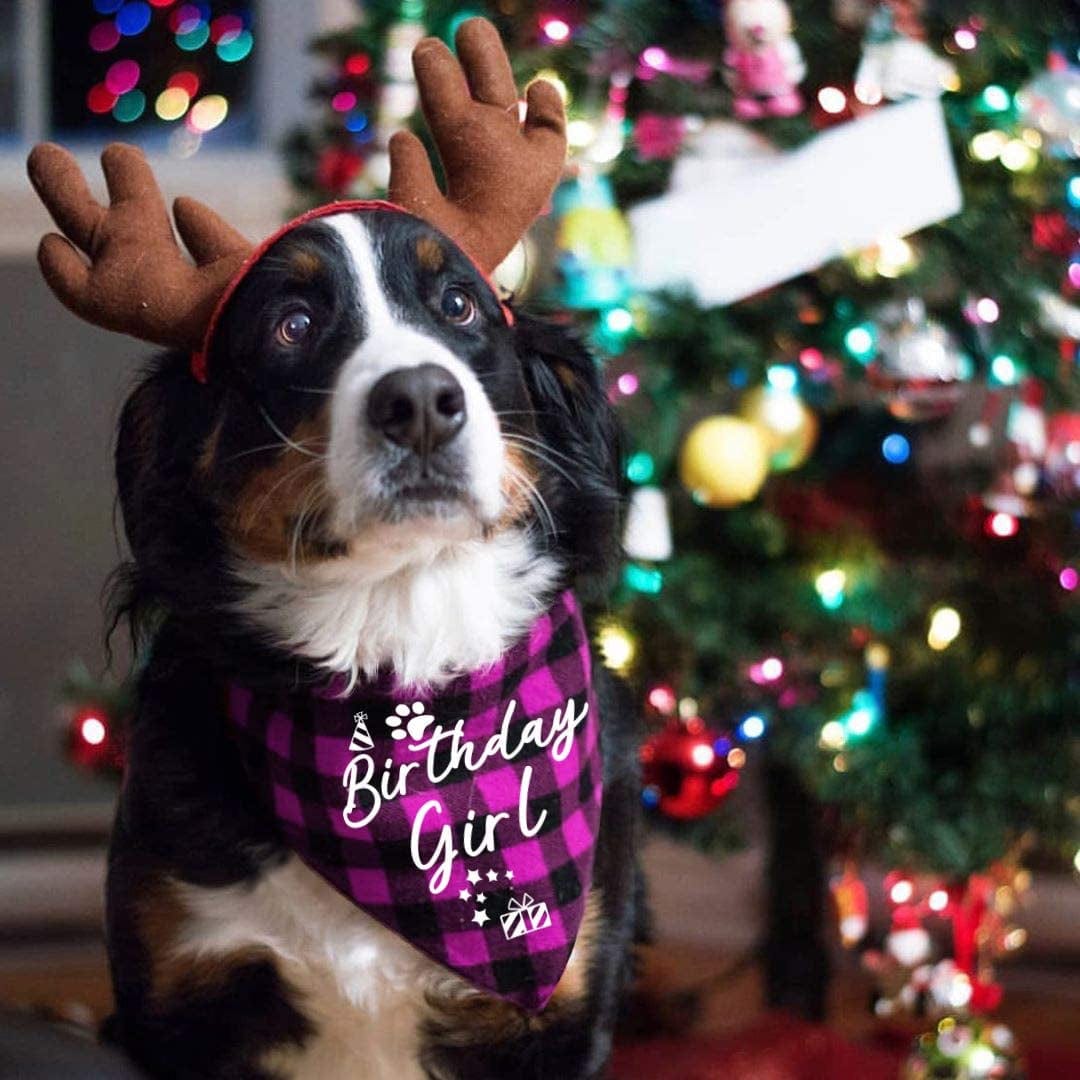 Family Kitchen Classic Pink Plaid Pet Puppy Dog Bandana