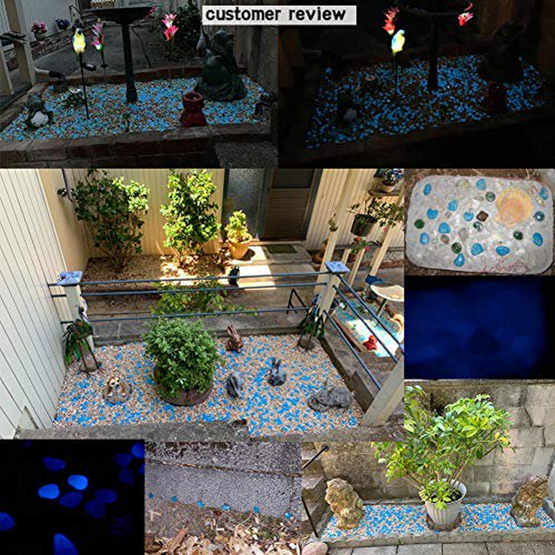 Glowing Rocks, 300 Pcs Glow in the Dark Pebbles for Outdoor Decor, Garden Lawn Yard, Aquarium, Walkway, Fish Tank, Pathway, Driveway, Luminous Pebbles Powered by Light or Solar-Recharge Repeatedly Animals & Pet Supplies > Pet Supplies > Fish Supplies > Aquarium Lighting GLOCARNIVAL   