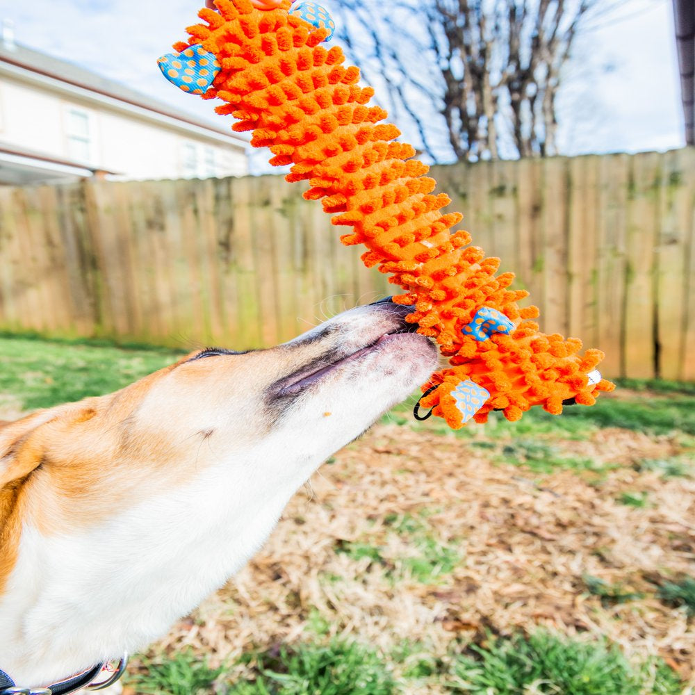 Multipet Stuffing Free Floppy Moppy Loofa Plush Dog Toy, 12", Color May Vary Animals & Pet Supplies > Pet Supplies > Dog Supplies > Dog Toys Multipet International   