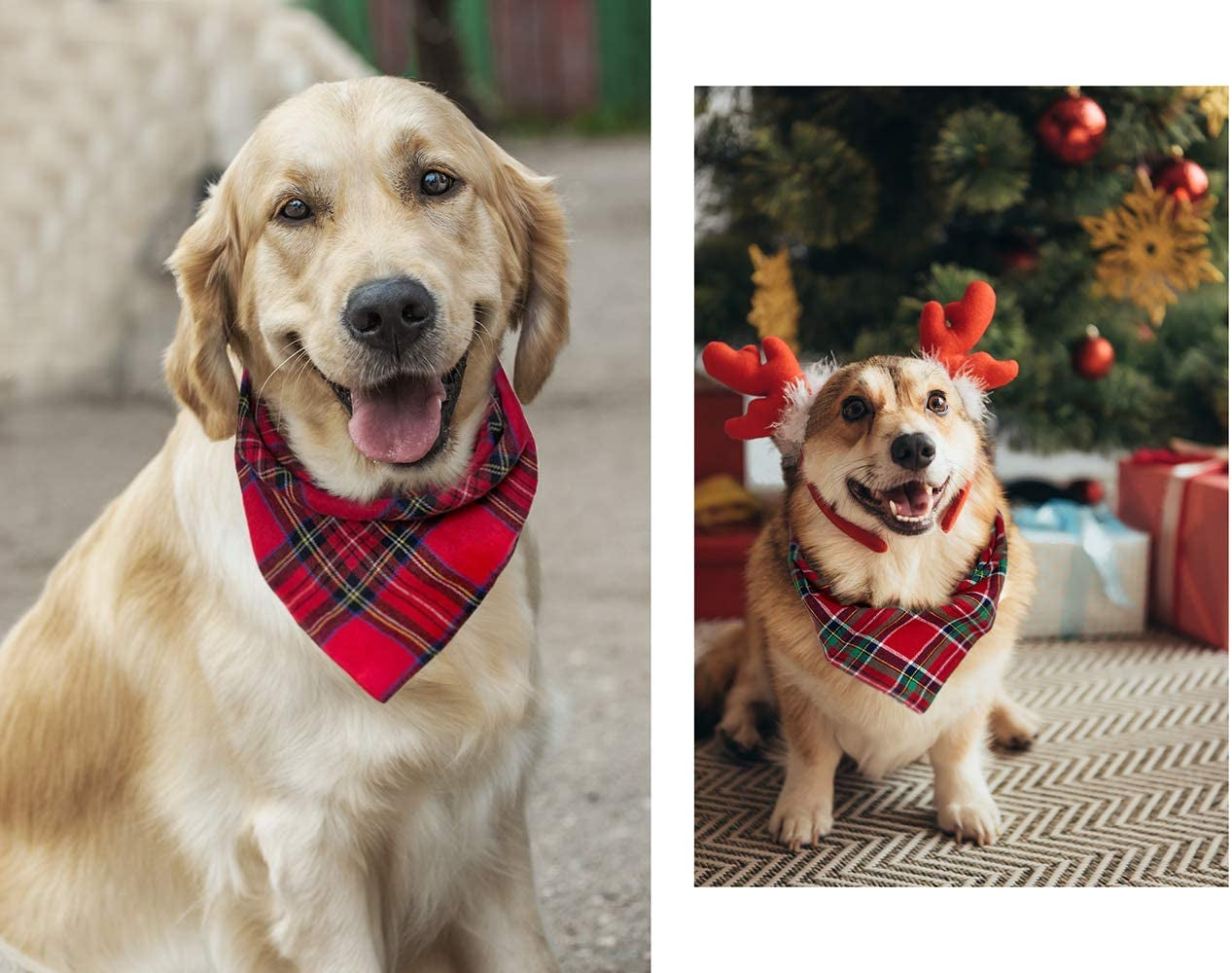 Christmas Plaid Dog Bandana with Button, Birthday Dual Layer Scarf Soft Cotton Triangle Bib Girls and Boys Kerchief Adjustable Accessories for Small Medium Large Extra Large Dog Puppy Pet Cat Animals & Pet Supplies > Pet Supplies > Dog Supplies > Dog Apparel C.C Xavier   