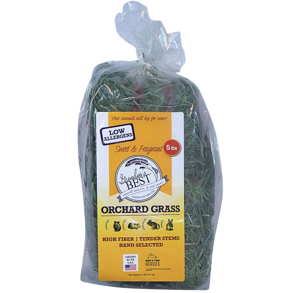 Grandpa'S Best Orchard Grass Hay Mini Bale for Small Animals - 5Lb Animals & Pet Supplies > Pet Supplies > Small Animal Supplies > Small Animal Food Grandpa's Best LLC   