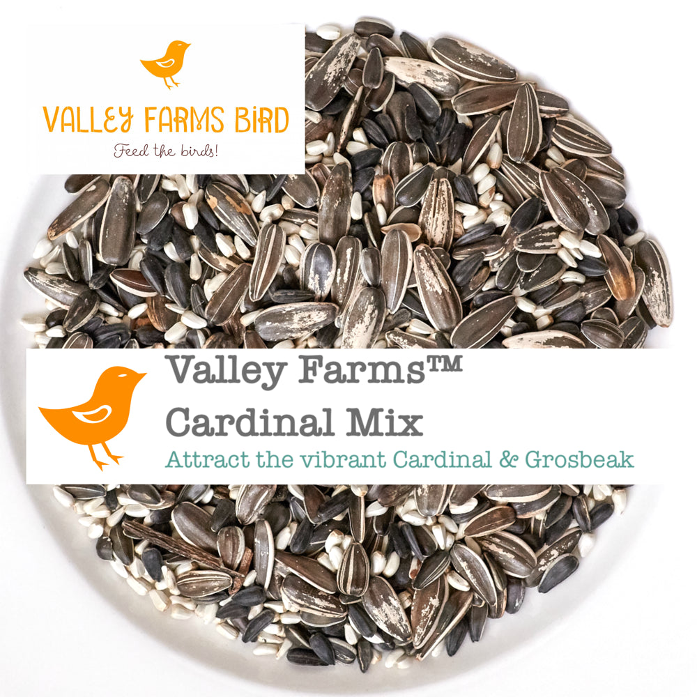 Valley Farms Cardinal Mix Wild Bird Food Animals & Pet Supplies > Pet Supplies > Bird Supplies > Bird Food Valley Farms   