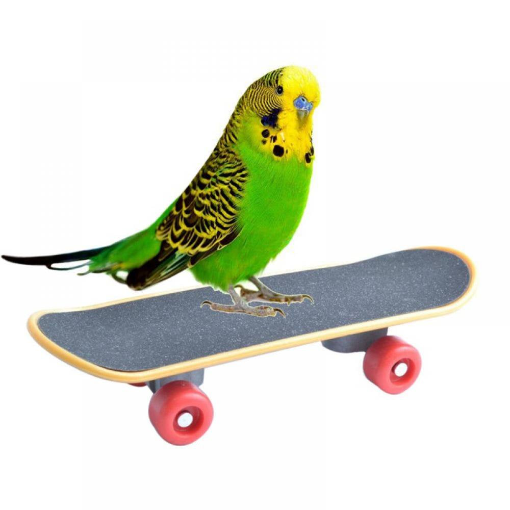 Pet Bird Toys Parrot Toys Funny Intelligence Skateboard Toy Stand Perch Toy for Parakeet Cockatiels Bird Training Accessories