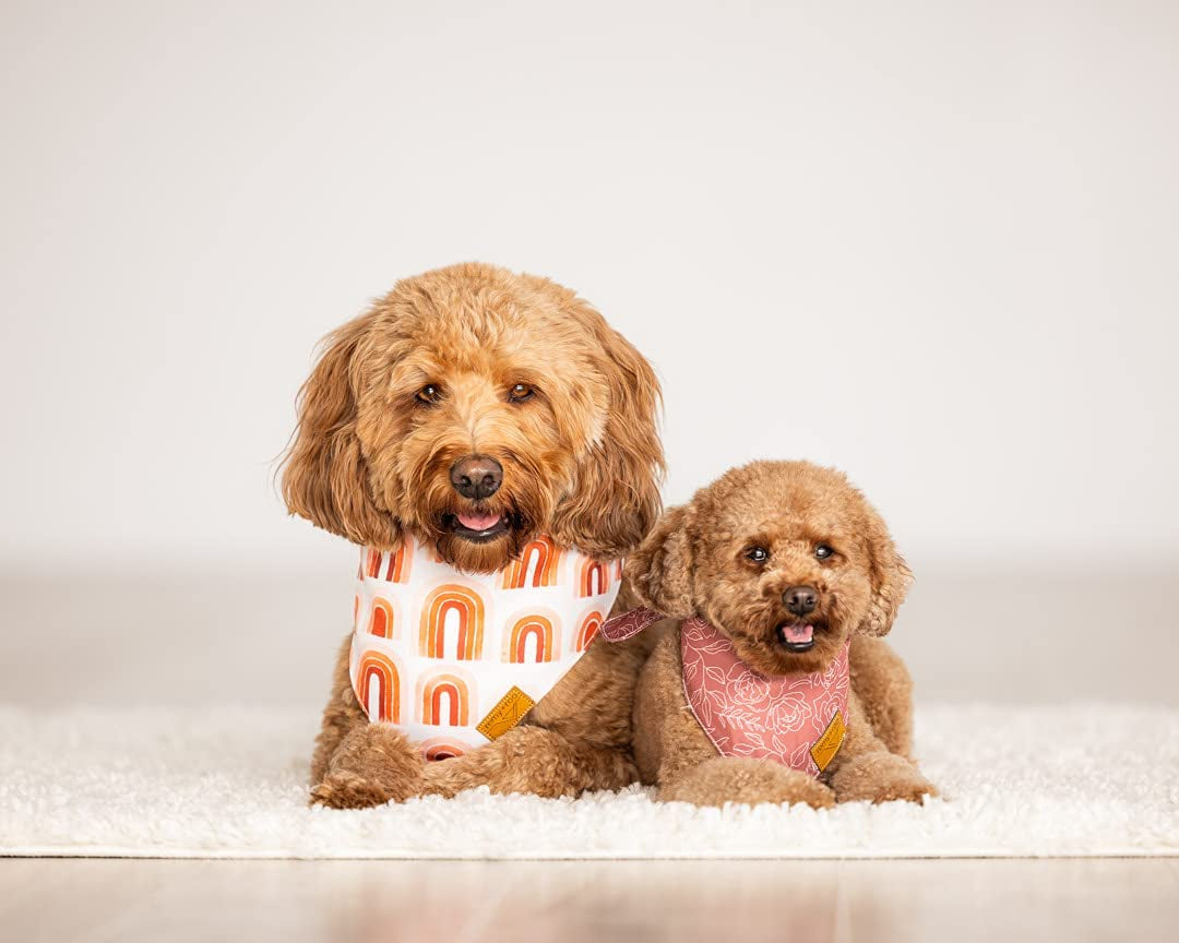 Remy+Roo Dog Bandanas - 4 Pack | Rubi Set | Premium Durable Fabric | Unique Shape | Adjustable Fit | Multiple Sizes Offered | (Large) Animals & Pet Supplies > Pet Supplies > Dog Supplies > Dog Apparel Remy+Roo   