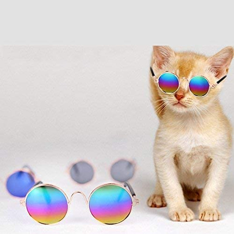 U-M Pulabo Premium Pet Megame Cute Sunglasses Goggles Small Dog Cat Eye Protection for Pet Dog Sun Protection Photography Accessories (Black) Easy to Use and Easy Beautiful, Blue,Green Animals & Pet Supplies > Pet Supplies > Dog Supplies > Dog Apparel U-M   