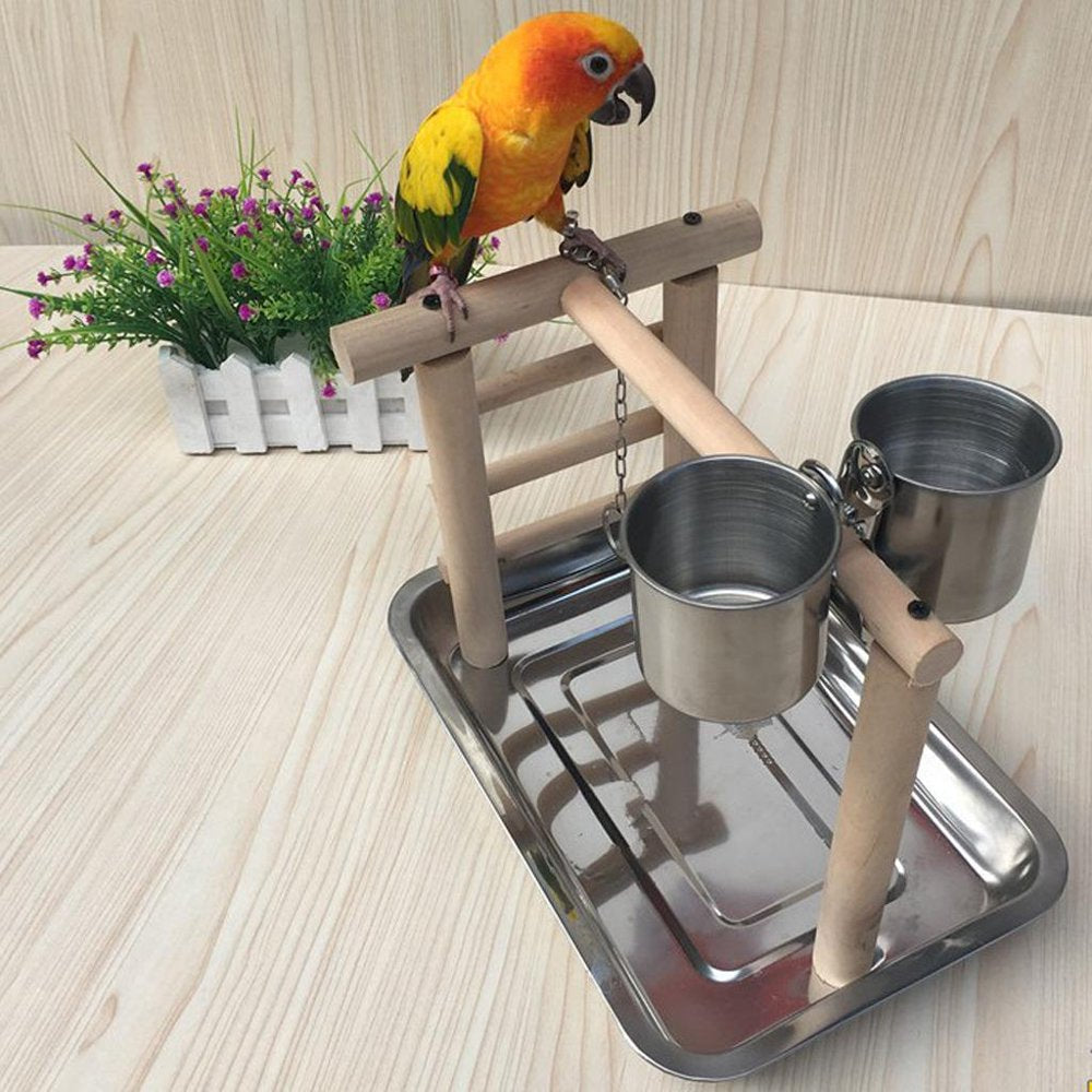 Pet Parrots Playstand Bird Playground Perch Gym Training Stand Bird Animals & Pet Supplies > Pet Supplies > Bird Supplies > Bird Gyms & Playstands HOMYL   