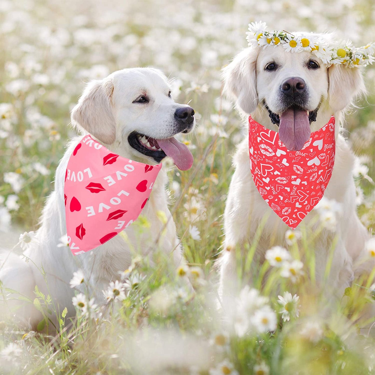 Adoggygo Valentine'S Day Dog Bandana, Multiple Sizes Offered, Reversible Triangle Dog Scarf Pet Bandana for Medium Large Dogs (Large, Valentine'S Day) Animals & Pet Supplies > Pet Supplies > Dog Supplies > Dog Apparel ADOGGYGO   