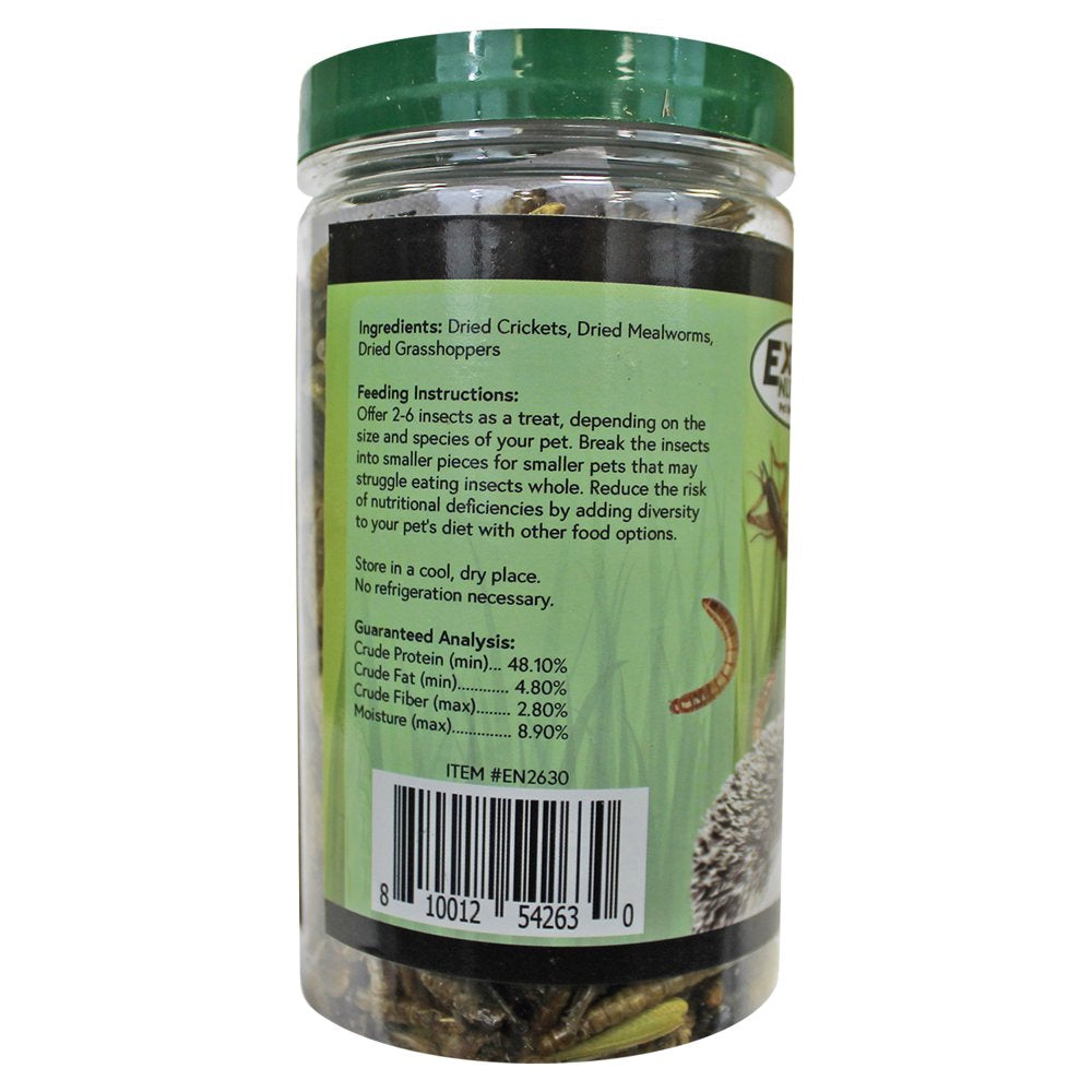 Exotic Nutrition Dried Bug Blend Treat 1.71 Oz.