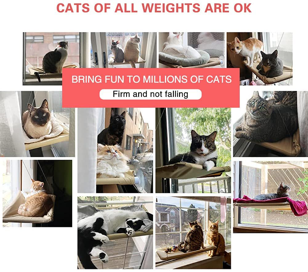 Cat Bed, Cat Window Perch with Suction Cup, Hammock Sun Seat for Cats Weighted up to 30Lb Animals & Pet Supplies > Pet Supplies > Cat Supplies > Cat Beds Taishi   