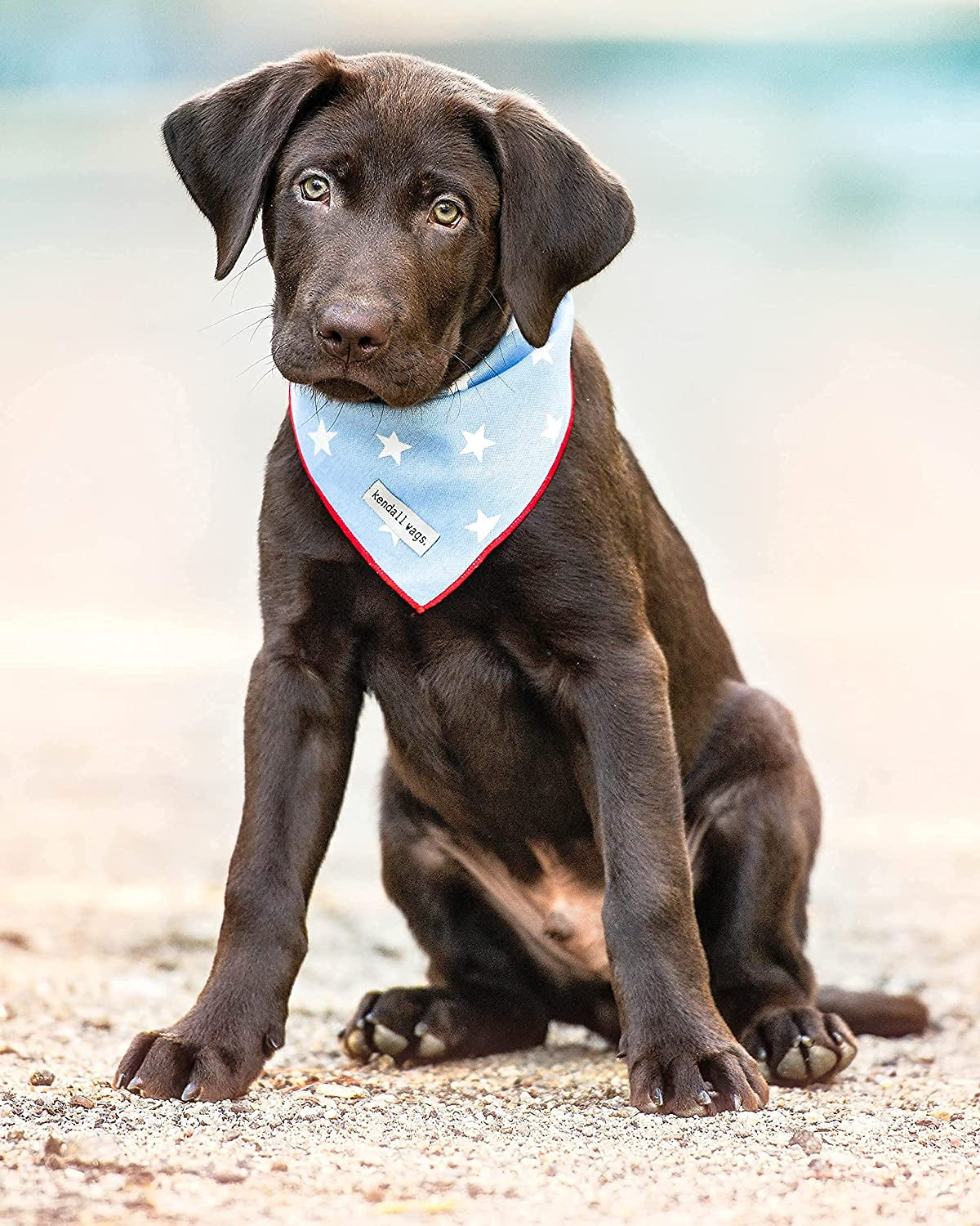 Kendall Wags Summer Nautical Dog Bandanas Pet Scarf Accessories for Large Medium Small Dogs - 4Th of July Animals & Pet Supplies > Pet Supplies > Dog Supplies > Dog Apparel Kendall Wags   