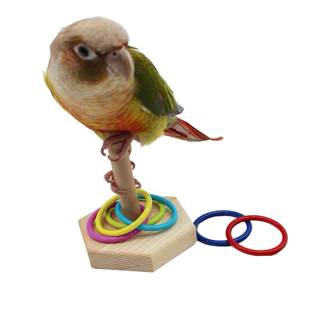 QBLEEV Bird Toys, Bird Trick Tabletop Toys, Training Basketball Stacking Color Ring Toys Sets, Parrot Chew Ball Foraing Toys, Education Play Gym Playground Activity Cage Foot Toys Animals & Pet Supplies > Pet Supplies > Bird Supplies > Bird Gyms & Playstands QBLEEV   