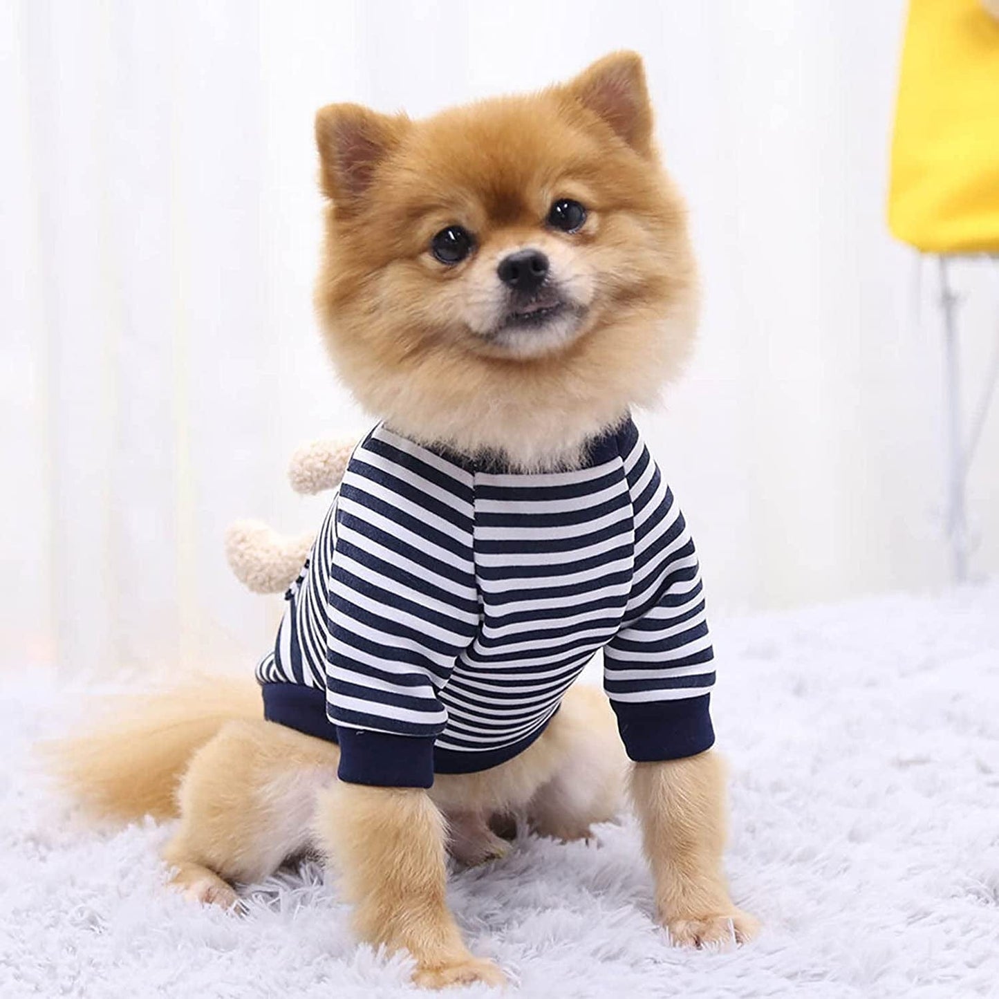 Female Dog Clothes Bulk Pocket Print Vest Soft Light-Weight T Shirts Gift for Puppy Bear Dogs and Cats plus Small Dogs Pet Clothes Animals & Pet Supplies > Pet Supplies > Dog Supplies > Dog Apparel HonpraD   