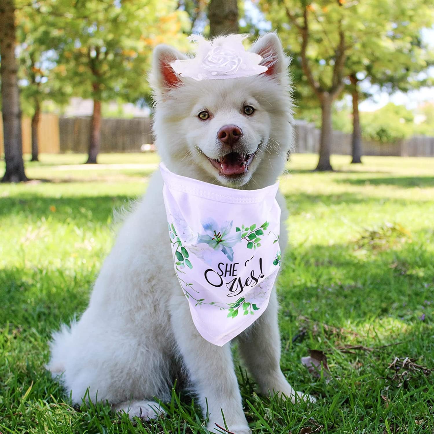 Ipetboom Home Decor 2Pcs Wedding Pet Dog Bandana Dog Bibs Pet Scarf Dog She Said Yes Engagement Wedding Party Bridal Shower Photo Prop Pet Accessories for Dog Lovers Gift White Wedding Decor Animals & Pet Supplies > Pet Supplies > Dog Supplies > Dog Apparel Ipetboom   