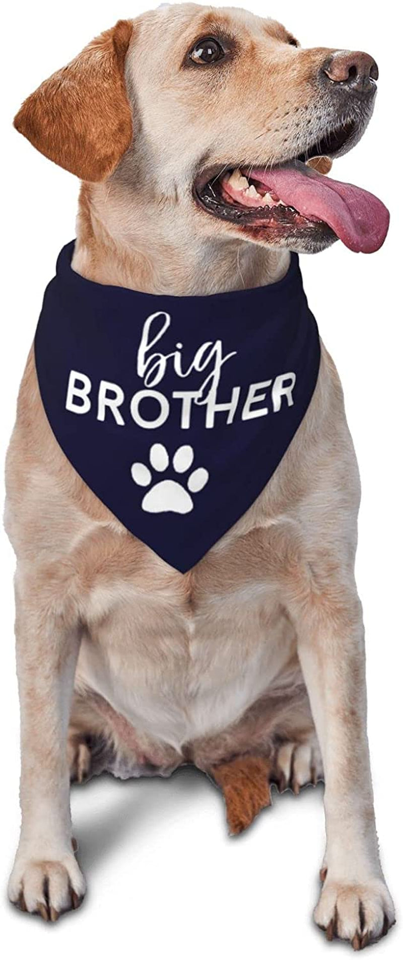 Vercosee Big Brother Dog Bandana,Pregnancy Announcement Dog Bandana, Gender Reveal Photo Booth Props, Pet Scarf for Dog Lover Owner (Big Brother) Animals & Pet Supplies > Pet Supplies > Dog Supplies > Dog Apparel vercosee big brother  