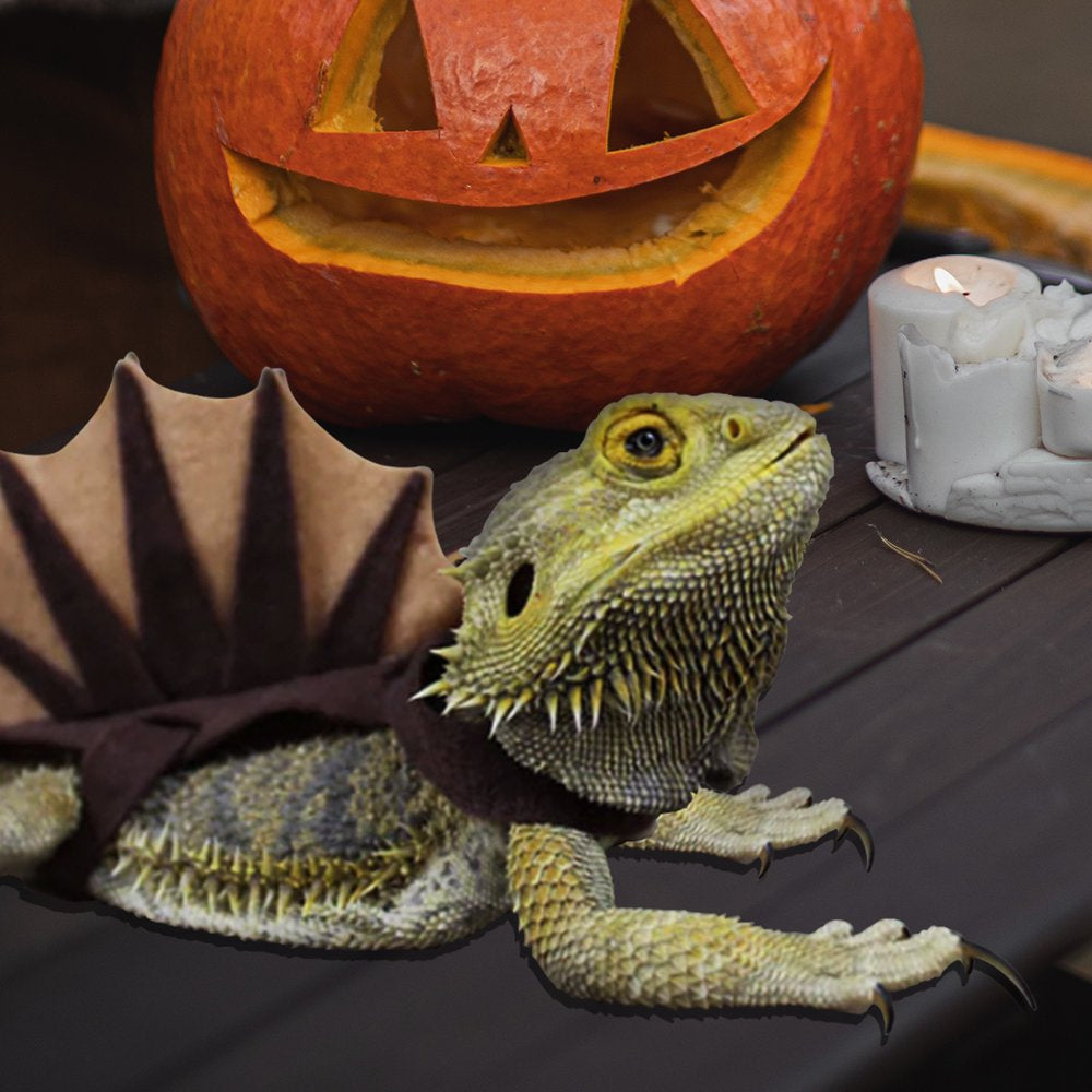 Vehomy Bearded Dragon Dinosaur Outfit Lizard Reptile Dinosaur Costume Handmade Felt Bearded Dragon Harness Bearded Dragon Lizard Accessories for Chameleon Gecko Anole Iguana Amphibians L Animals & Pet Supplies > Pet Supplies > Reptile & Amphibian Supplies > Reptile & Amphibian Food Vehomy   