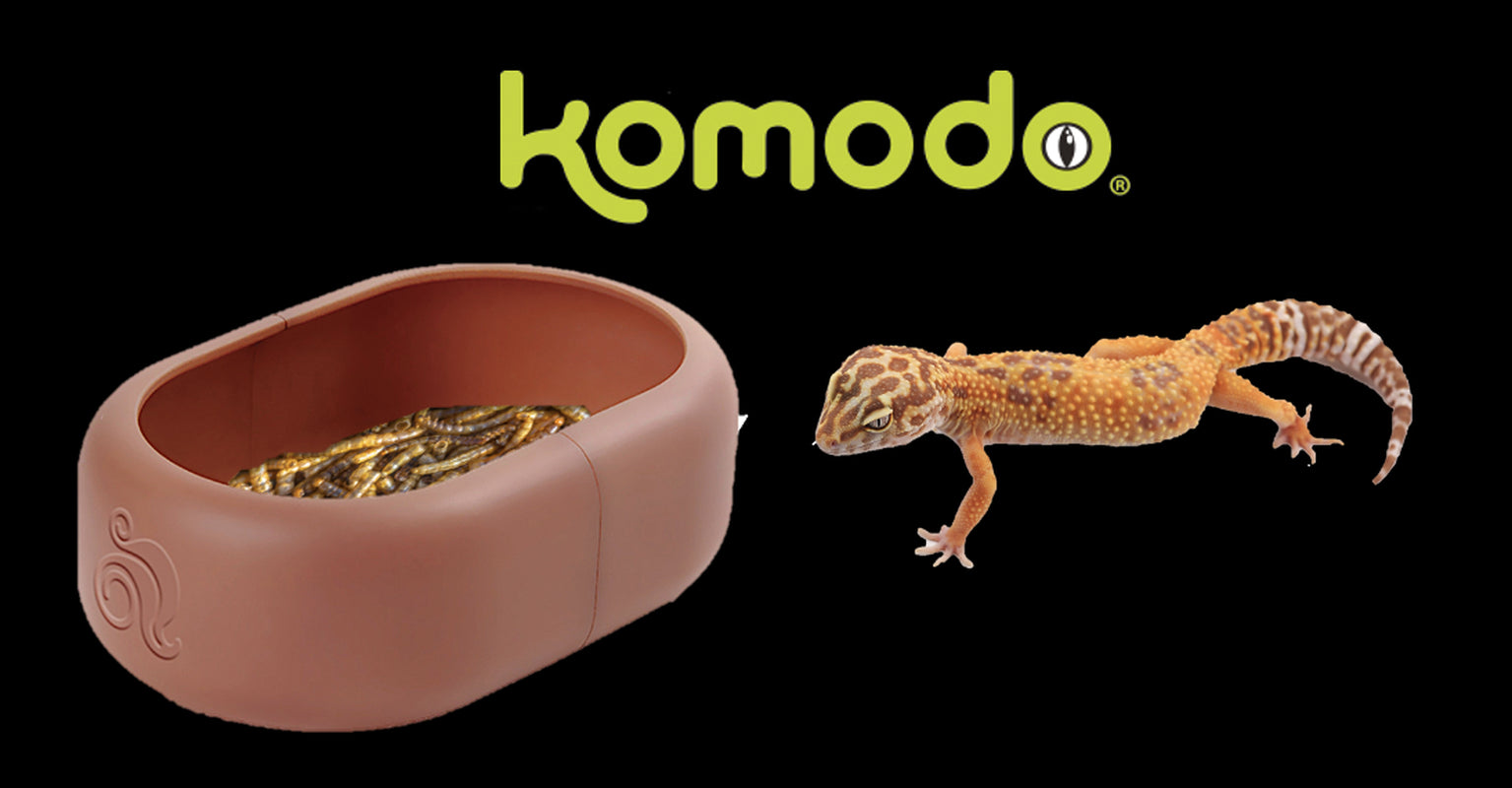 Komodo Smart Mealworm Reptile Feeding Dish for Aquarium or Reptile Tank, Brown, Thermoplastic Animals & Pet Supplies > Pet Supplies > Fish Supplies > Aquarium Decor Multipet International, Inc.   