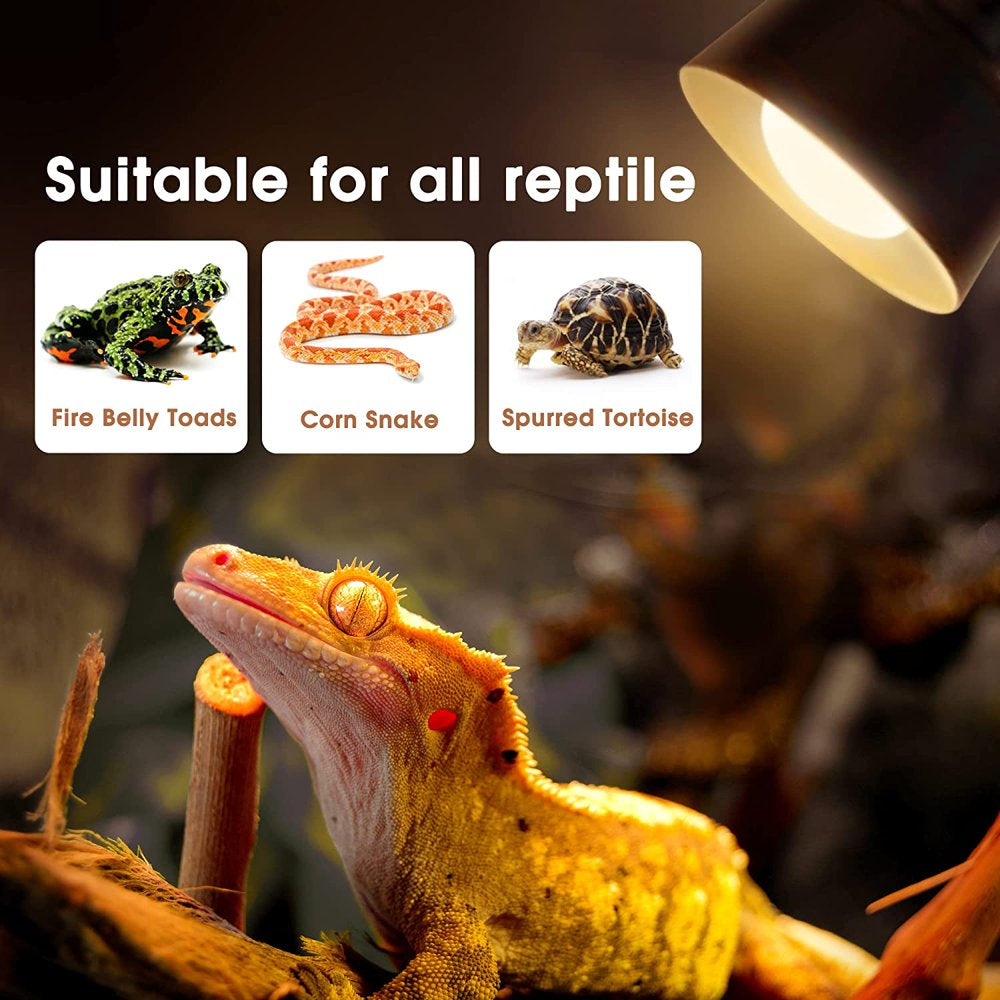Reptile Heat Lamp Bulb, 50 Watt Infrared Basking Spot Lamp of , Heat Lamp Bulbs for Reptiles and Amphibian Use, 4 Packs  YANSUN 8PCS  