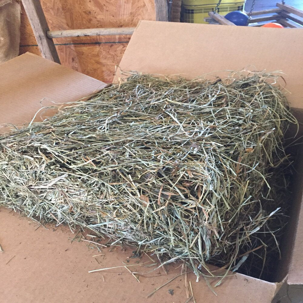 Taul Farms Certified Organic Premium Orchard Grass Clover Hay for Rabbits & Small Pets Animals & Pet Supplies > Pet Supplies > Small Animal Supplies > Small Animal Food Taul Farms   