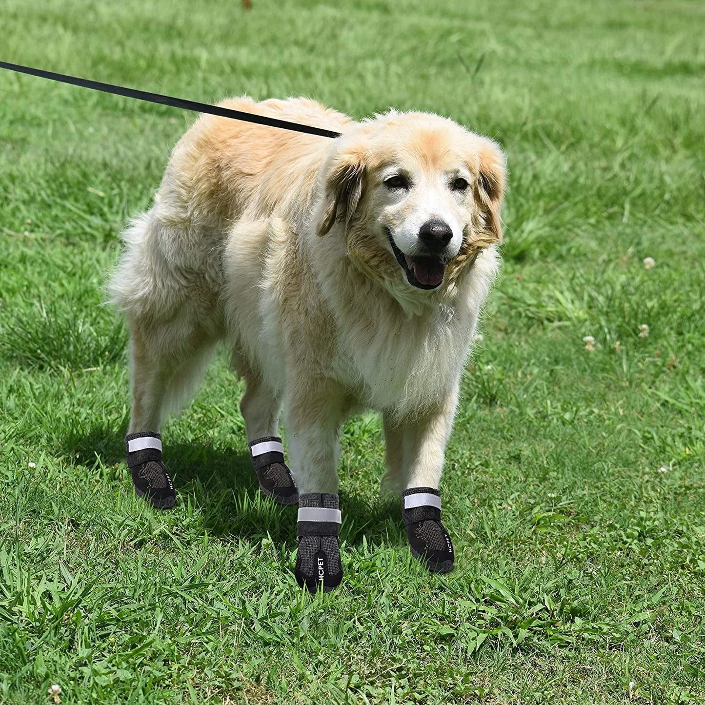 Filhome Dog Rain Boots Shoes Waterproof Dog Hiking Snow Boots Best Winter Dog Boots with Reflective & Adjustable Straps Rugged Anti-Slip Sole for Small Medium Large Dog Pet Puppy Outdoor Use Animals & Pet Supplies > Pet Supplies > Dog Supplies > Dog Apparel Timwaygo   