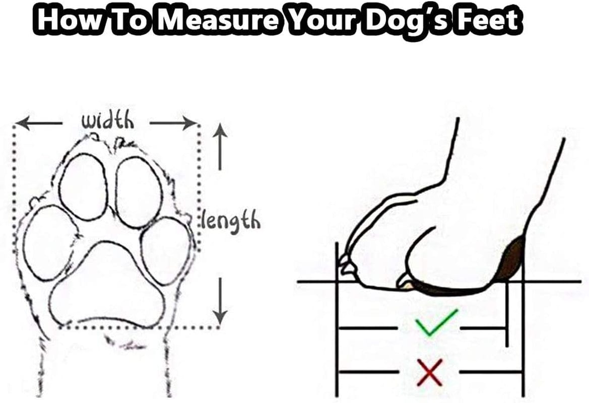 Fladorepet Large Big Dog PU Leather Sport Shoes Winter Waterproof Pet Dog Puppy Martin Boots Non-Slip Pitbull Golden Retriever Rain Shoes (12（2.9X3.7Inch）(Pack of 4), Brown) Animals & Pet Supplies > Pet Supplies > Dog Supplies > Dog Apparel FLAdorepet   