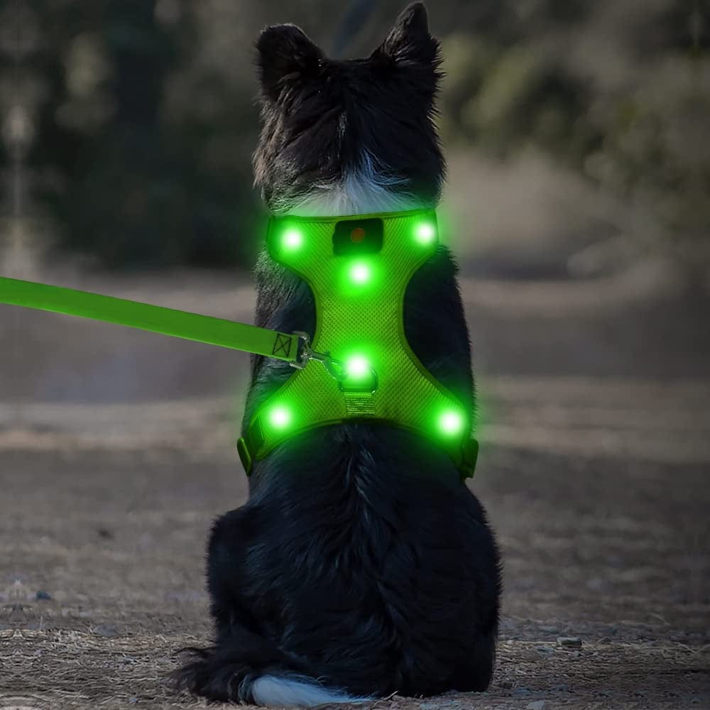 Flashseen LED Dog Harness,Lighted up USB Rechargeable Pet Harness,Illuminated Reflective Glowing Dog Vest Adjustable Soft Padded No-Pull Suit for Small,Medium,Large Dogs (Green, M) Animals & Pet Supplies > Pet Supplies > Dog Supplies > Dog Apparel Yuansen   