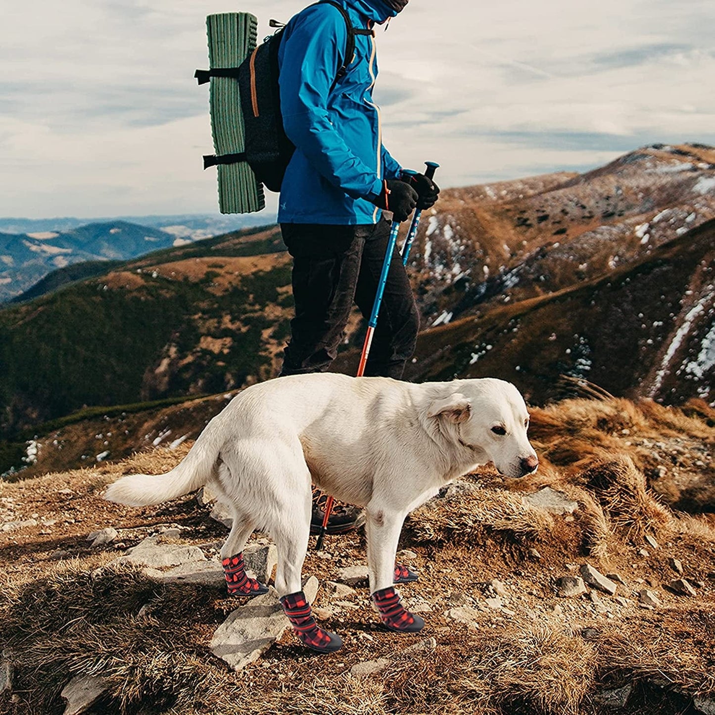 FLYSTAR Dog Shoes for Medium Large Dogs, Waterproof Anti-Slip Rain/Snow Winter Warm Outdoor Dog Boots, Adjustable Reflective Rubber Sole Paw Protector Dog Shoes for Running Hiking Walking,Etc. Animals & Pet Supplies > Pet Supplies > Dog Supplies > Dog Apparel FLYSTAR   