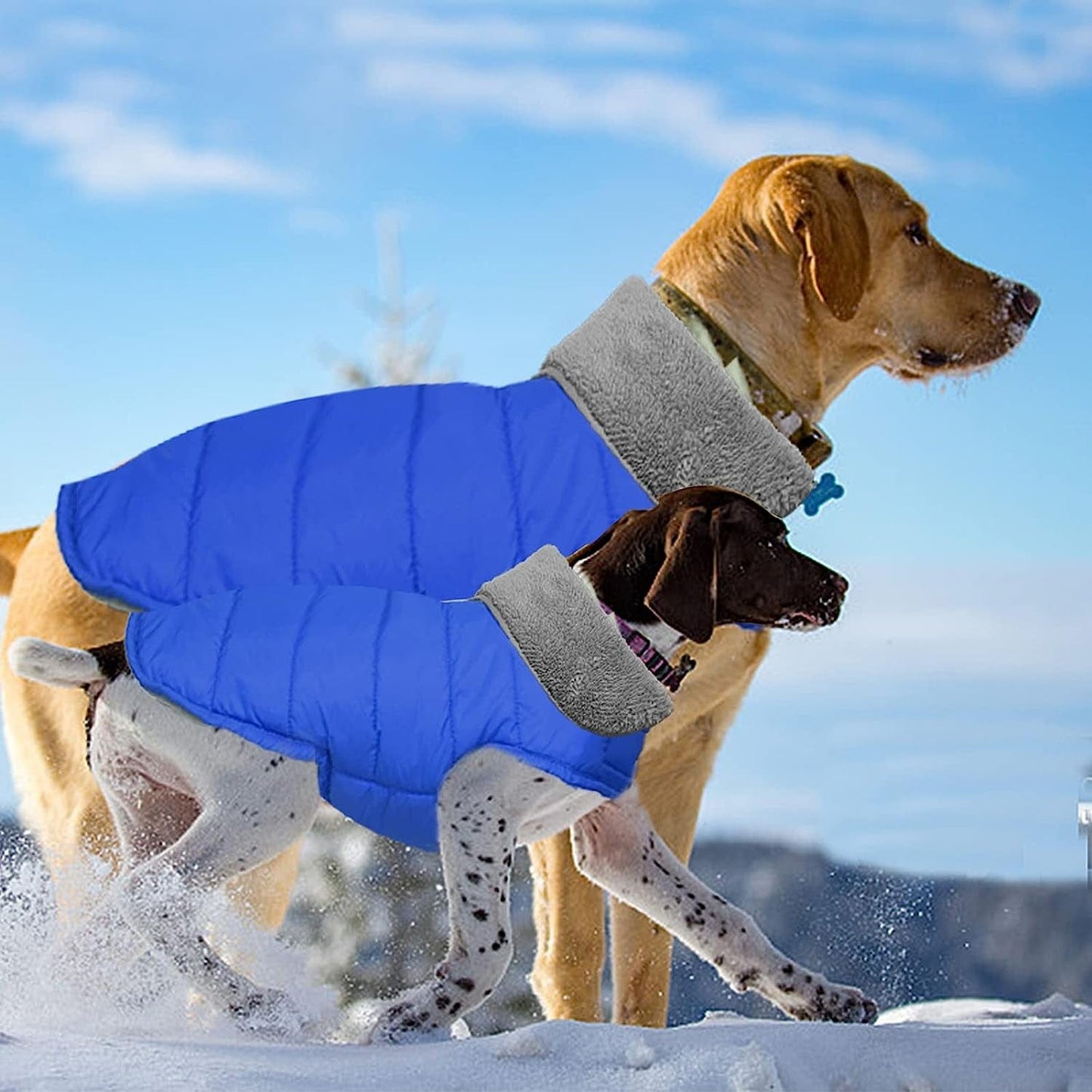 Fragralley Dog Jacket Soft Waterproof Windproof Reversible Winter Dog Clothes Warm Coat for Small Medium Large Dogs (X-Small, Blue) Animals & Pet Supplies > Pet Supplies > Dog Supplies > Dog Apparel Fragralley   