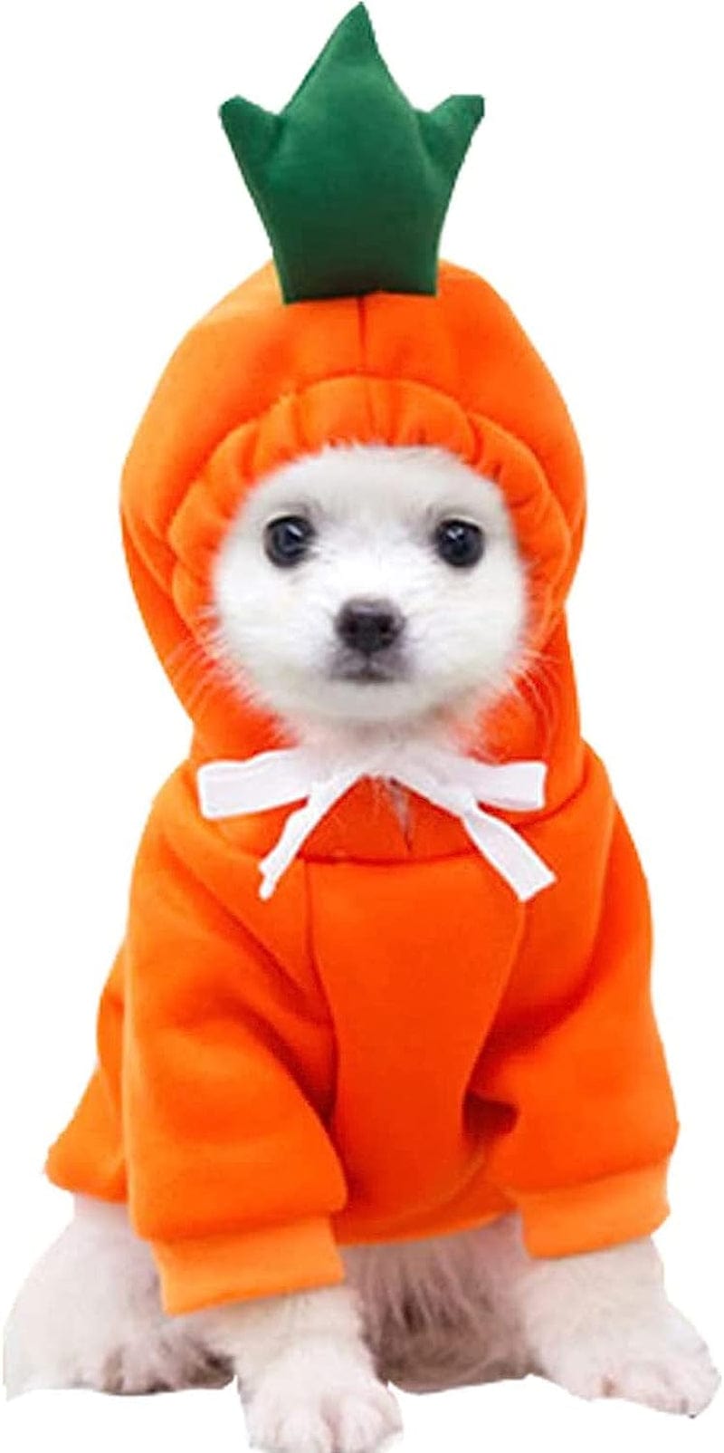 Frog Hoodie for Small Medium Largr Dogs Cats Pets, Basic Sweater Coat Cute Warm Jacket Pet Cold Weather Clothes Outfit Outerwear (Frog, Small) Animals & Pet Supplies > Pet Supplies > Dog Supplies > Dog Apparel T210906-1 Orange X-Small 