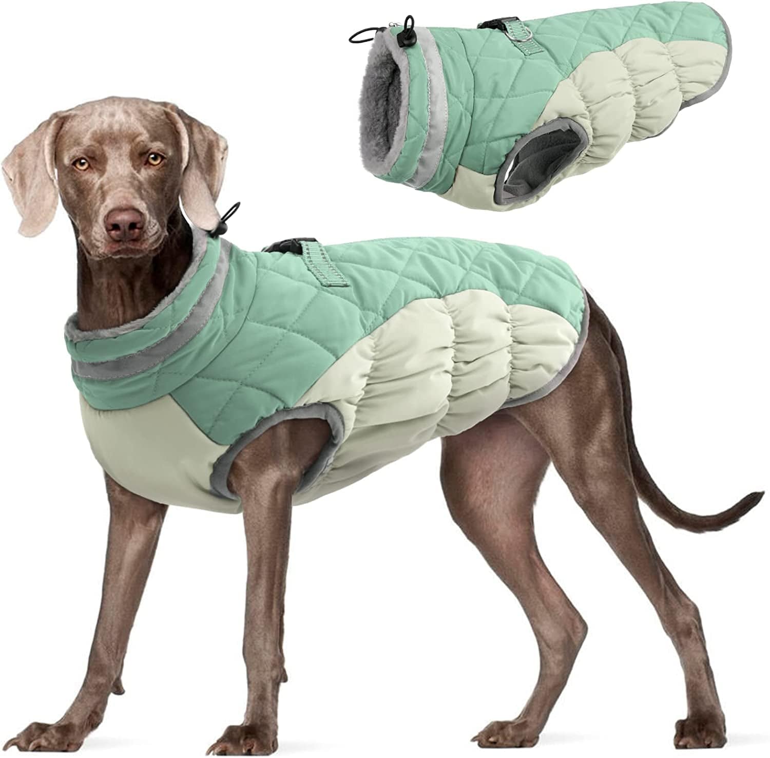 FUAMEY Dog Winter Jacket,Dog Cold Weather Coats Paded Dog Vest Warm Zip up Dog Windproof Apparel Pet Fleece Lined Outfit for Small Medium Large Dogs with Harness Cozy Dog Clothes with Fur Collar Animals & Pet Supplies > Pet Supplies > Dog Supplies > Dog Apparel FUAMEY candy green XXX-Large(chest:43in) 