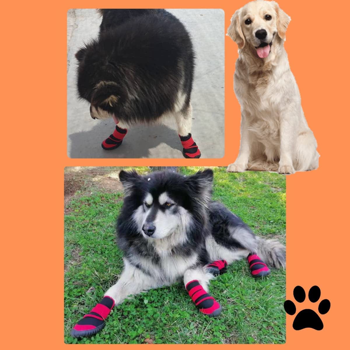 Fuqin Dog Shoes,4 Pcs Waterproof Dog Booties as Dog Paw Protector,Dog Boot of Dog Stuff Protects Walkee Paws,Also as Dog Socks for Puppy Supplies or Mature Dog Supplies (Blue-Black, Size3) Animals & Pet Supplies > Pet Supplies > Dog Supplies > Dog Apparel Generic   