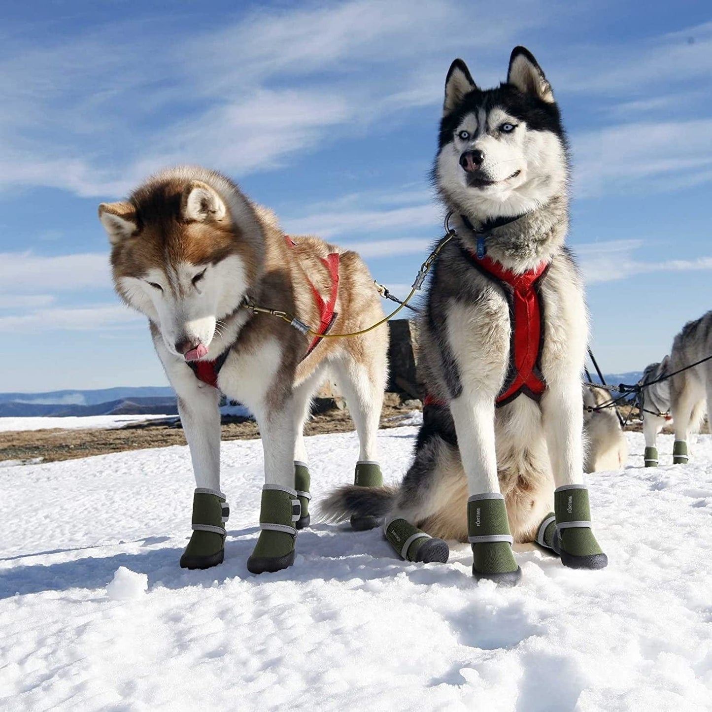 FURTIME Dog Shoes Paw Protectors for Small Medium Large Dogs Boots with Reflective Strips Rugged Anti-Slip Rubber Sole for Outdoor Walking Winter Snow 4Pcs/Set Animals & Pet Supplies > Pet Supplies > Dog Supplies > Dog Apparel FURTIME   