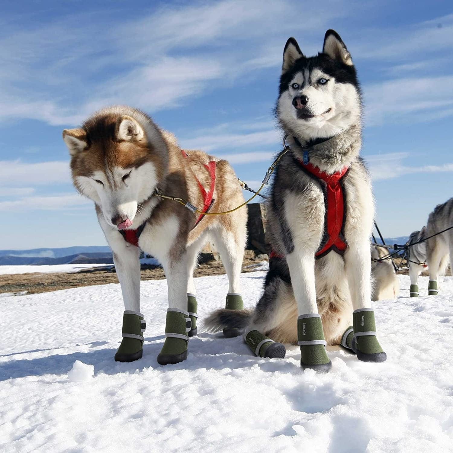 FURTIME Dog Shoes Paw Protectors for Small Medium Large Dogs Boots with Reflective Strips Rugged Anti-Slip Rubber Sole for Outdoor Walking Winter Snow 4Pcs/Set Animals & Pet Supplies > Pet Supplies > Dog Supplies > Dog Apparel FURTIME   