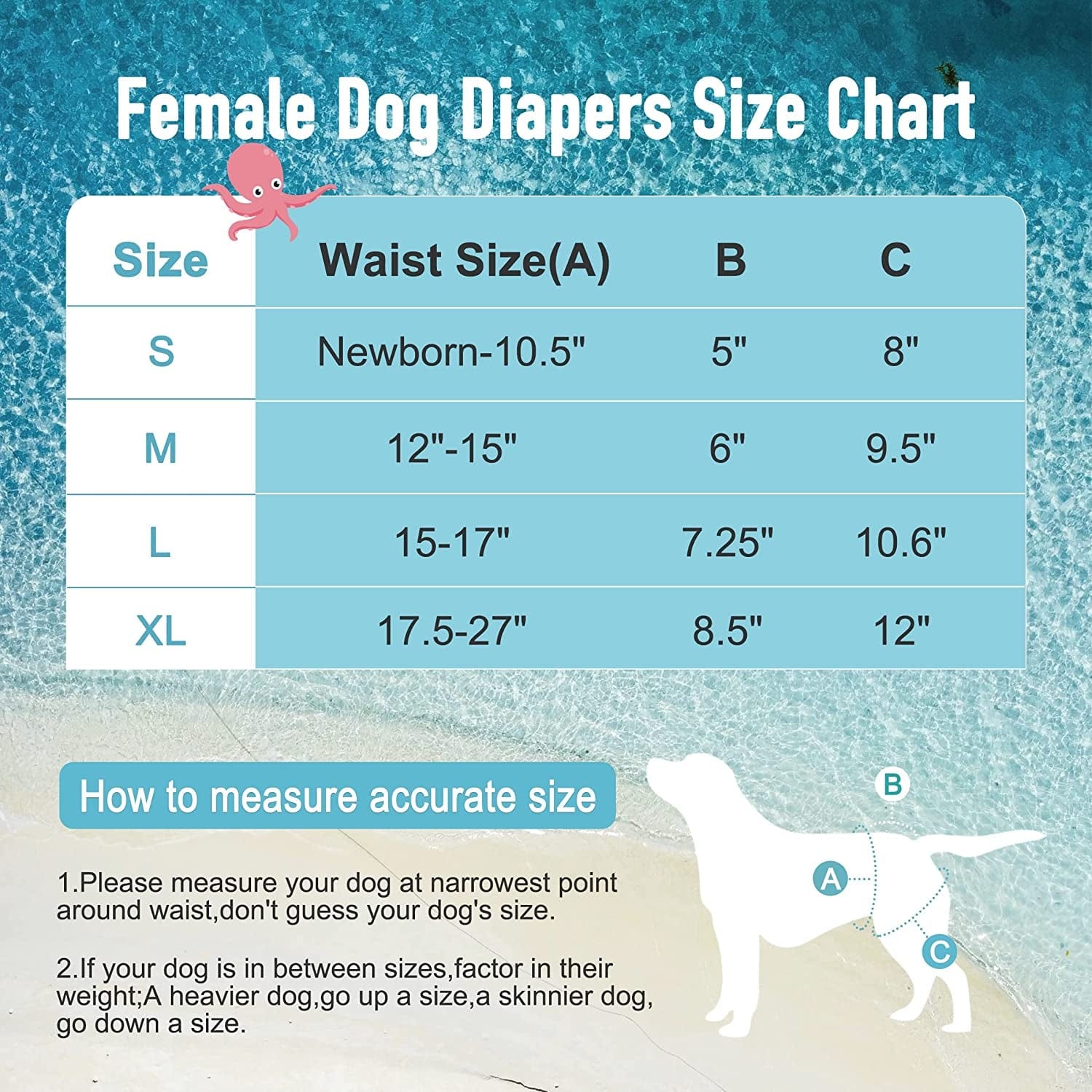 Diapers for dogs in heat best sale