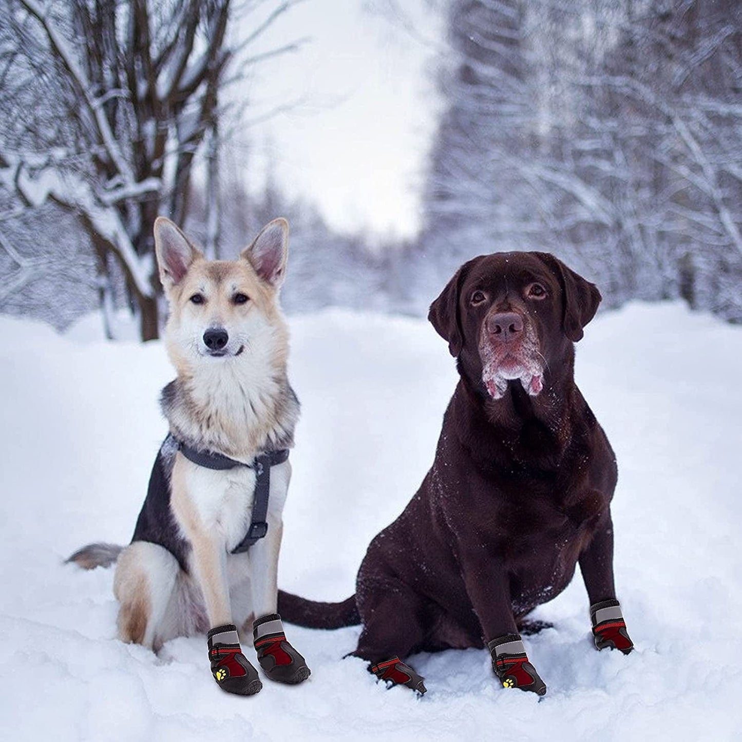 Fuzilin Dog Boots, Waterproof Reflective Breathable Adjustable Dog Summer Beach Hiking Booties with Non-Slip Soles, Dog Water Shoes for Small Medium Large Dogs Hot Pavement Animals & Pet Supplies > Pet Supplies > Dog Supplies > Dog Apparel Fuzilin   