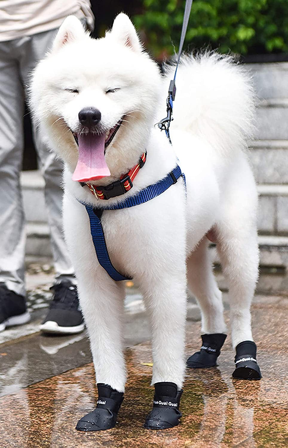 Gabefish Waterproof Silicone Dogs Rain Boots, Rainy Days Shoes for Dogs, Outdoor Puppy Paw Protector with Straps Black 2X-Large Animals & Pet Supplies > Pet Supplies > Dog Supplies > Dog Apparel GabeFish   