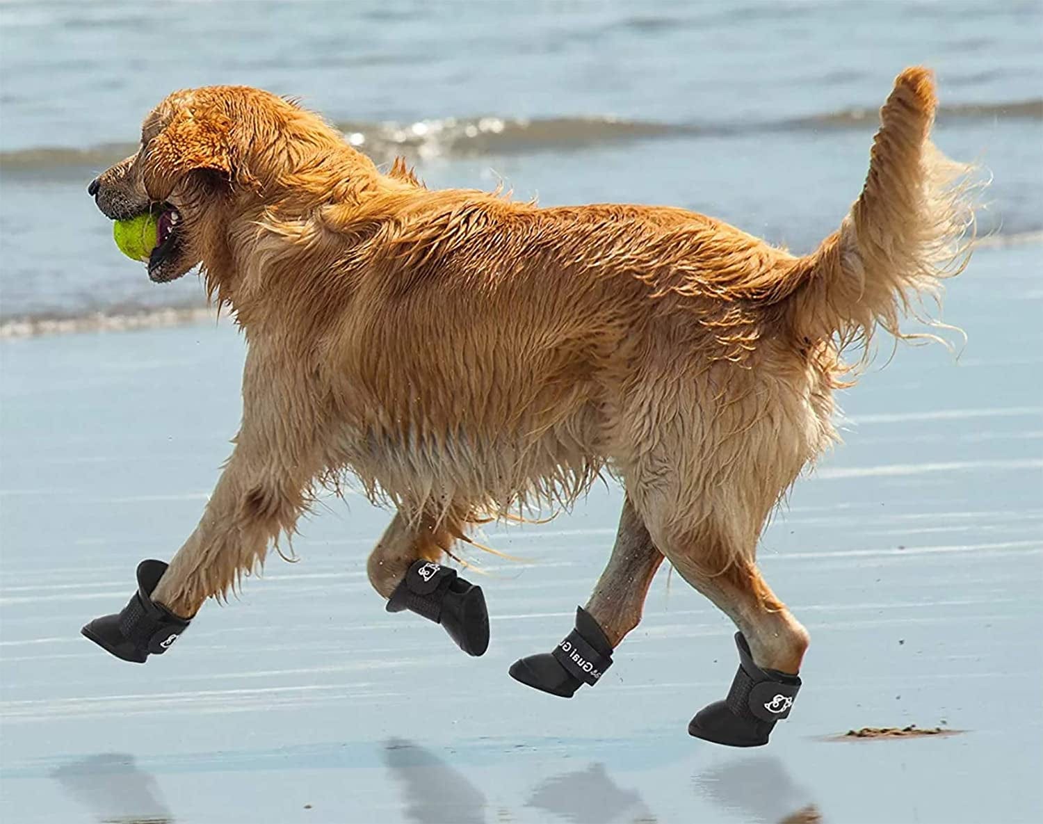 Gabefish Waterproof Silicone Dogs Rain Boots, Rainy Days Shoes for Dogs, Outdoor Puppy Paw Protector with Straps Black 2X-Large Animals & Pet Supplies > Pet Supplies > Dog Supplies > Dog Apparel GabeFish   