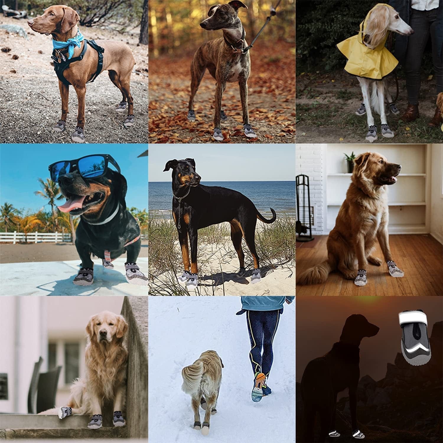 Gawwapet Dog Shoes Breathable Dog Boots with with Reflective Strips Rugged Anti-Slip Sole 4Pcs/Set for Small Medium Large Dogs Animals & Pet Supplies > Pet Supplies > Dog Supplies > Dog Apparel Gawwapet   