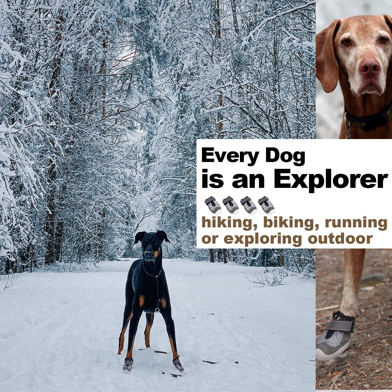 Gawwapet Dog Shoes Breathable Dog Boots with with Reflective Strips Rugged Anti-Slip Sole 4Pcs/Set for Small Medium Large Dogs Animals & Pet Supplies > Pet Supplies > Dog Supplies > Dog Apparel Gawwapet   