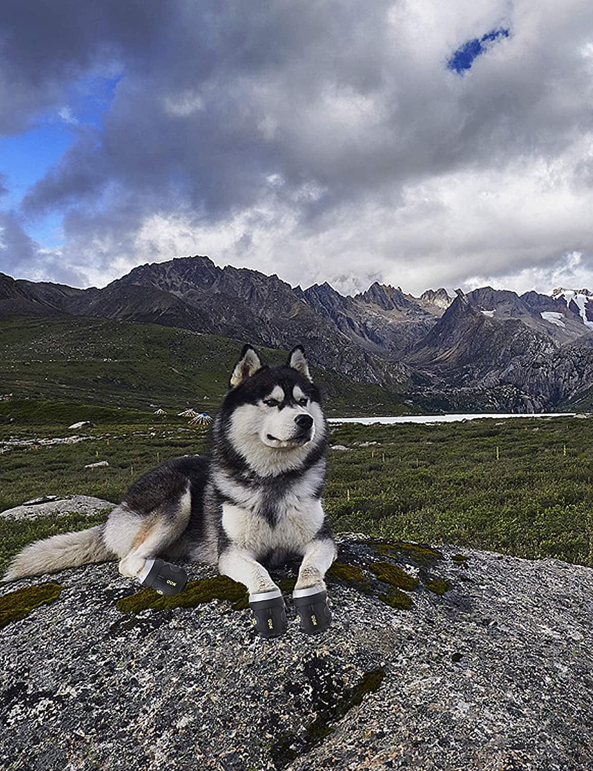 GGR Dog Shoes Pet Boots 4 Pcs Outdoor Waterproof and Wearproof Running Shoes for Dogs Pet Rain Boots (6#（2.9’’X2.5’’）, Black) Animals & Pet Supplies > Pet Supplies > Dog Supplies > Dog Apparel ggr   